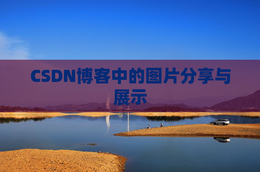CSDN博客中的图片分享与展示